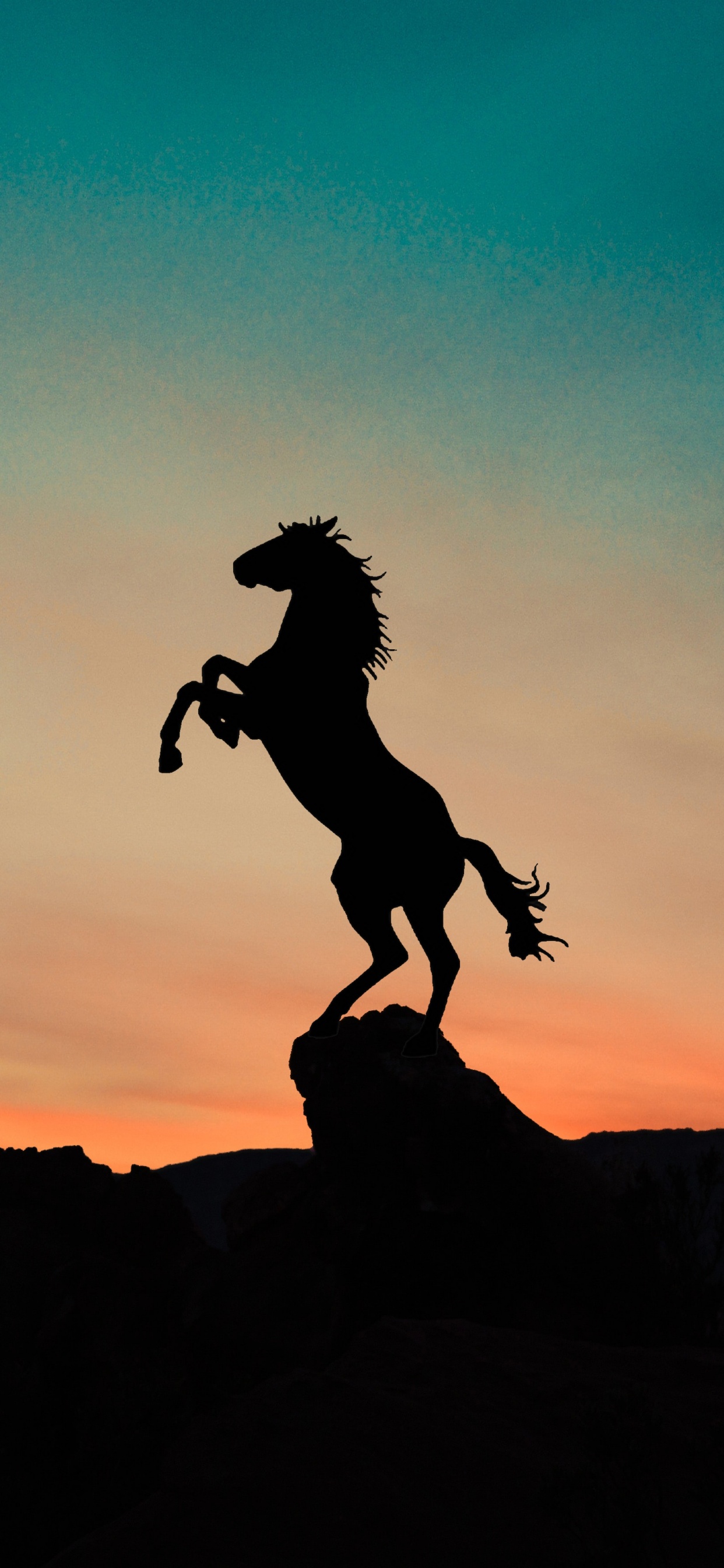 Horse, Cloud, Afterglow, People in Nature, Dusk. Wallpaper in 1242x2688 Resolution