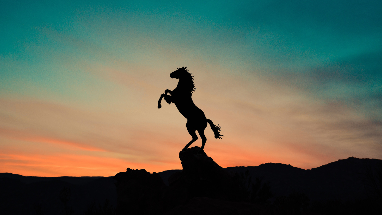 Horse, Cloud, Afterglow, People in Nature, Dusk. Wallpaper in 1280x720 Resolution