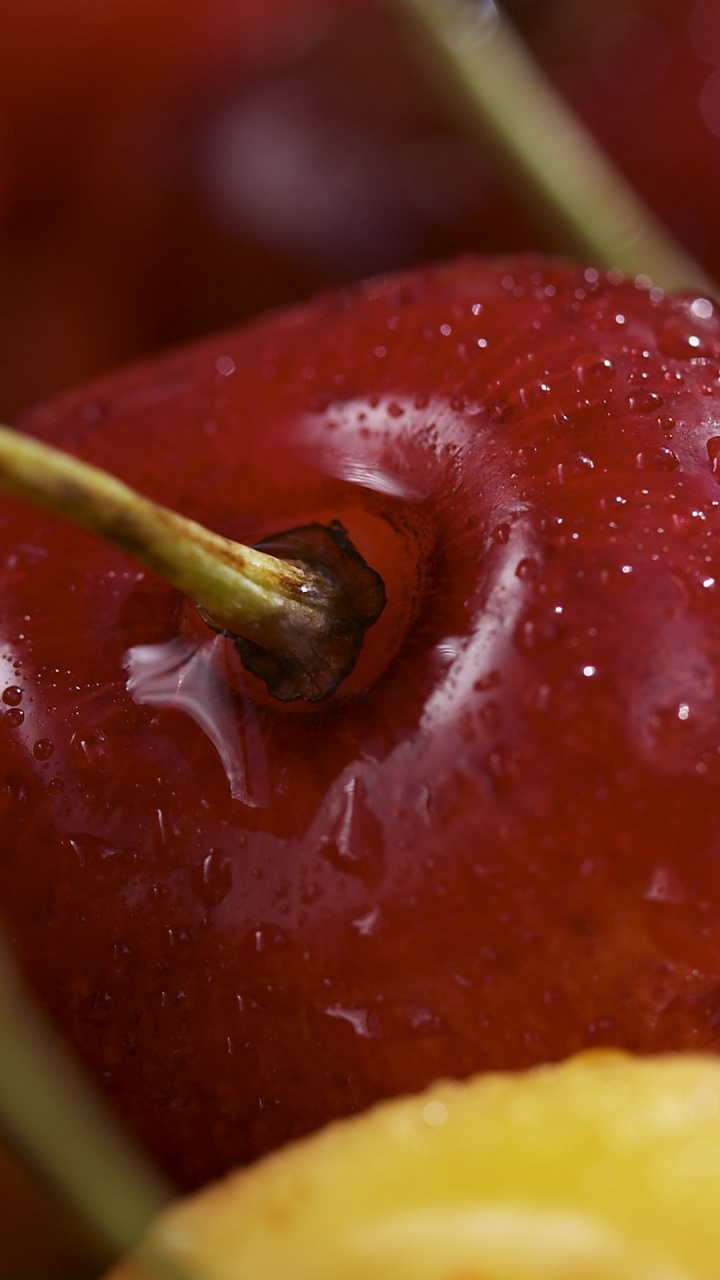 Manzana Roja y Cítricos Amarillos. Wallpaper in 720x1280 Resolution
