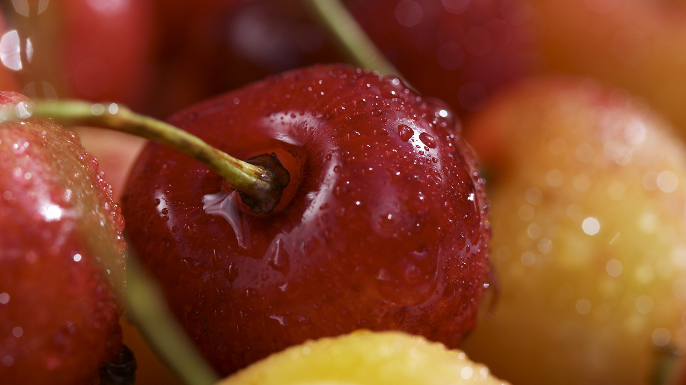 Rote Apfelfrucht Und Gelbe Zitrusfrucht. Wallpaper in 1366x768 Resolution