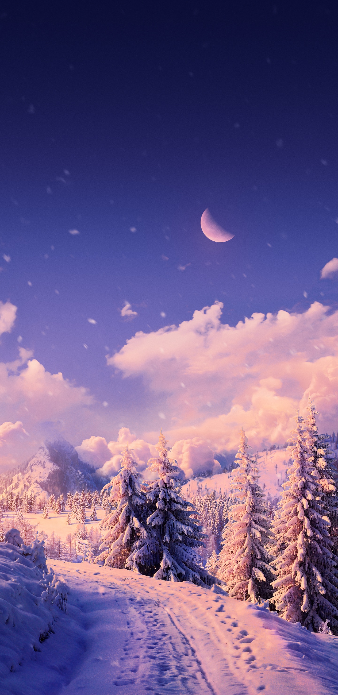 Atmosphère, la Journée, Paysage Naturel, Nature, Neige. Wallpaper in 1440x2960 Resolution