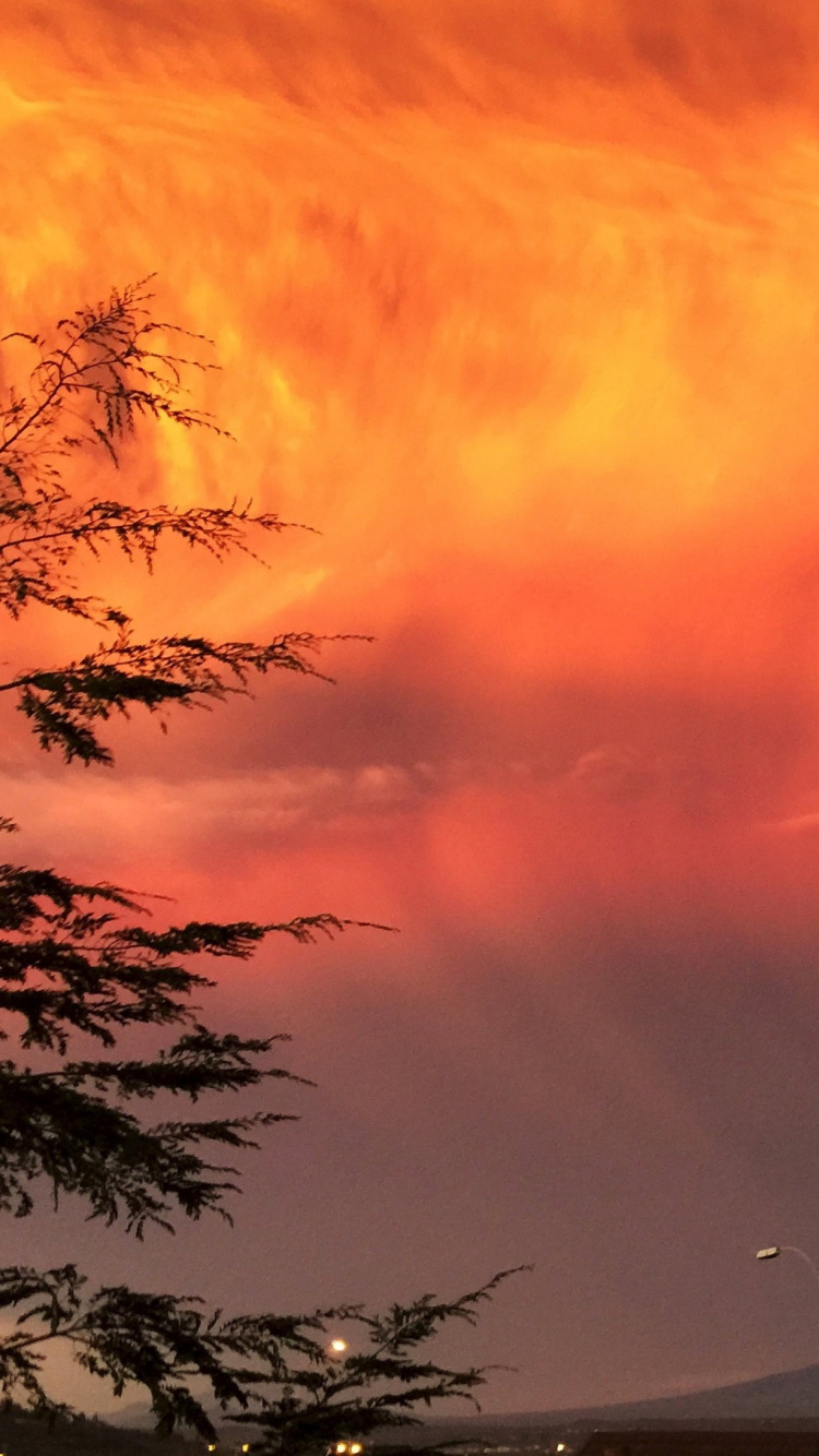 Nuages Orange et Noirs Au-dessus de la Mer. Wallpaper in 750x1334 Resolution