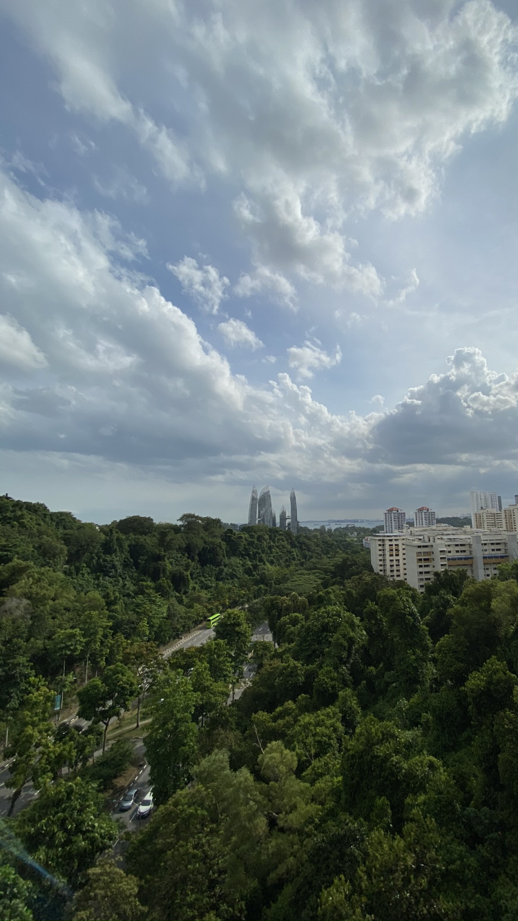 Vegetation, Tageszeit, Tower, Stadtgebiet, Cumulus. Wallpaper in 750x1334 Resolution