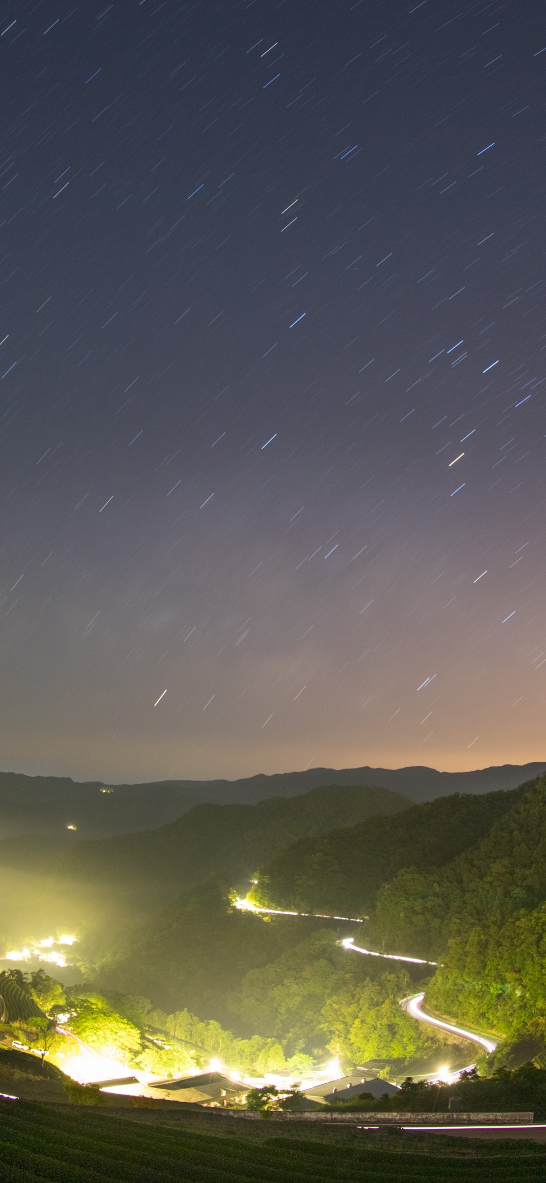 Árboles Verdes y Campo de Hierba Verde Bajo la Noche Estrellada. Wallpaper in 1125x2436 Resolution