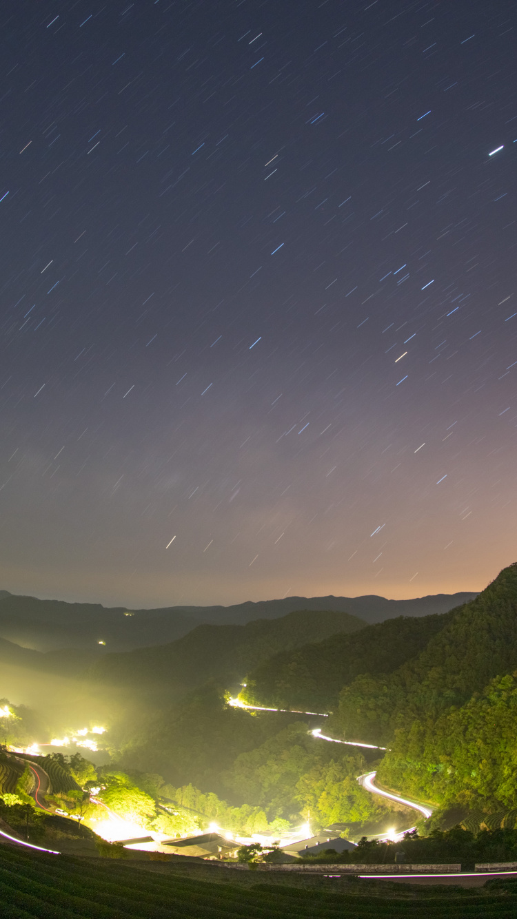 Árboles Verdes y Campo de Hierba Verde Bajo la Noche Estrellada. Wallpaper in 750x1334 Resolution