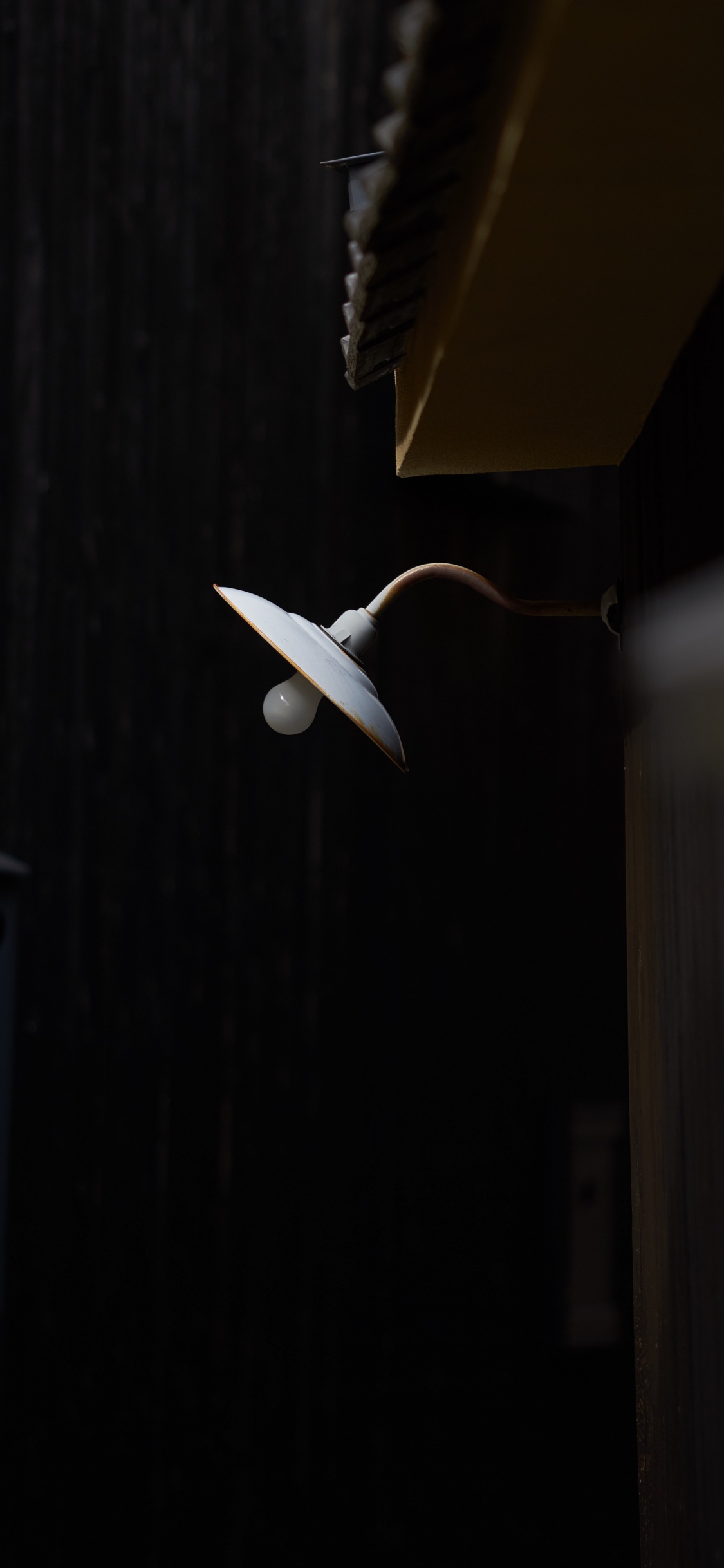 Pájaro Blanco Volando en el Cielo. Wallpaper in 1125x2436 Resolution