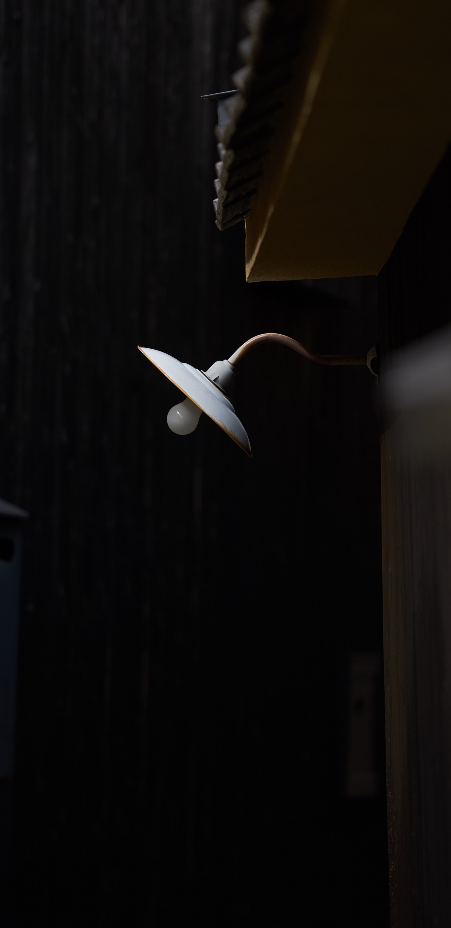 White Bird Flying on The Sky. Wallpaper in 1440x2960 Resolution