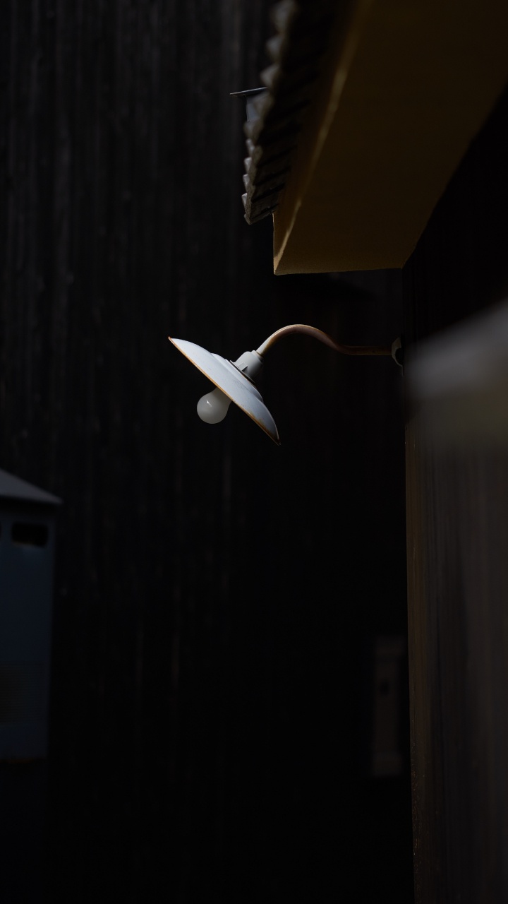 White Bird Flying on The Sky. Wallpaper in 720x1280 Resolution