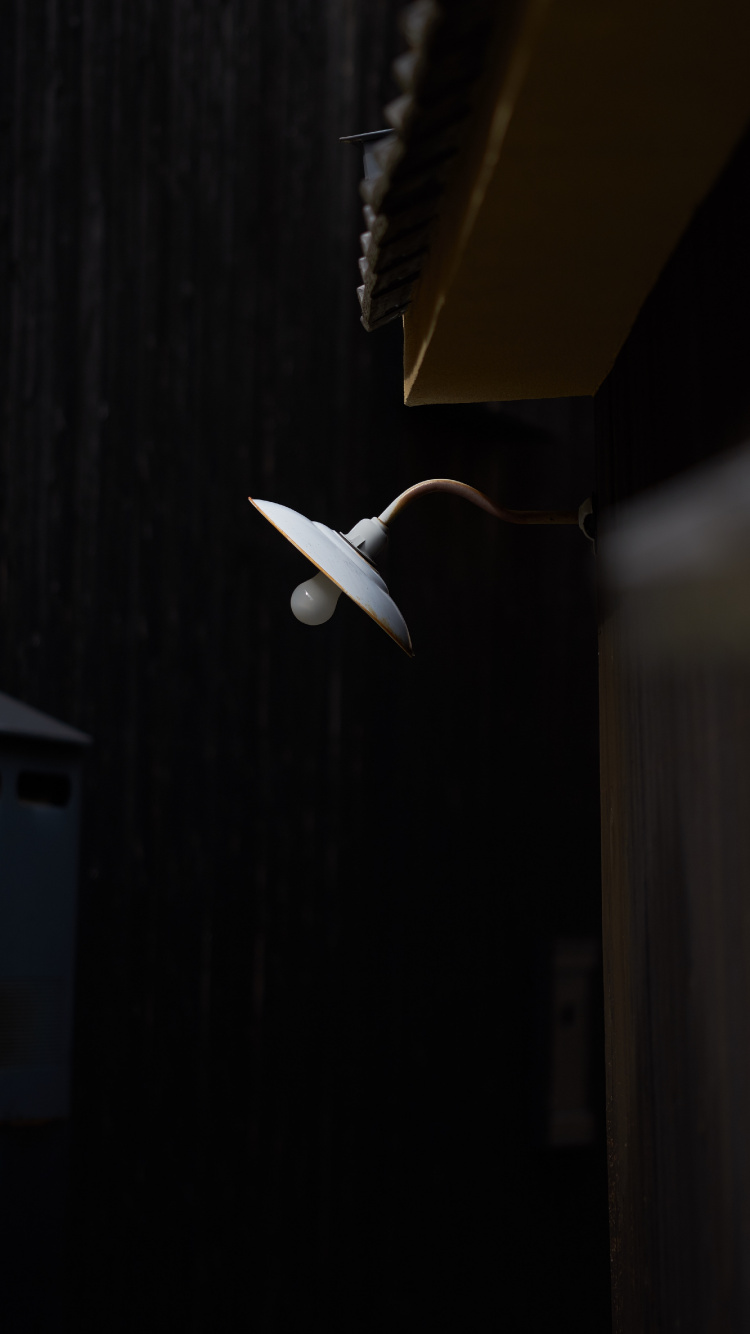 White Bird Flying on The Sky. Wallpaper in 750x1334 Resolution