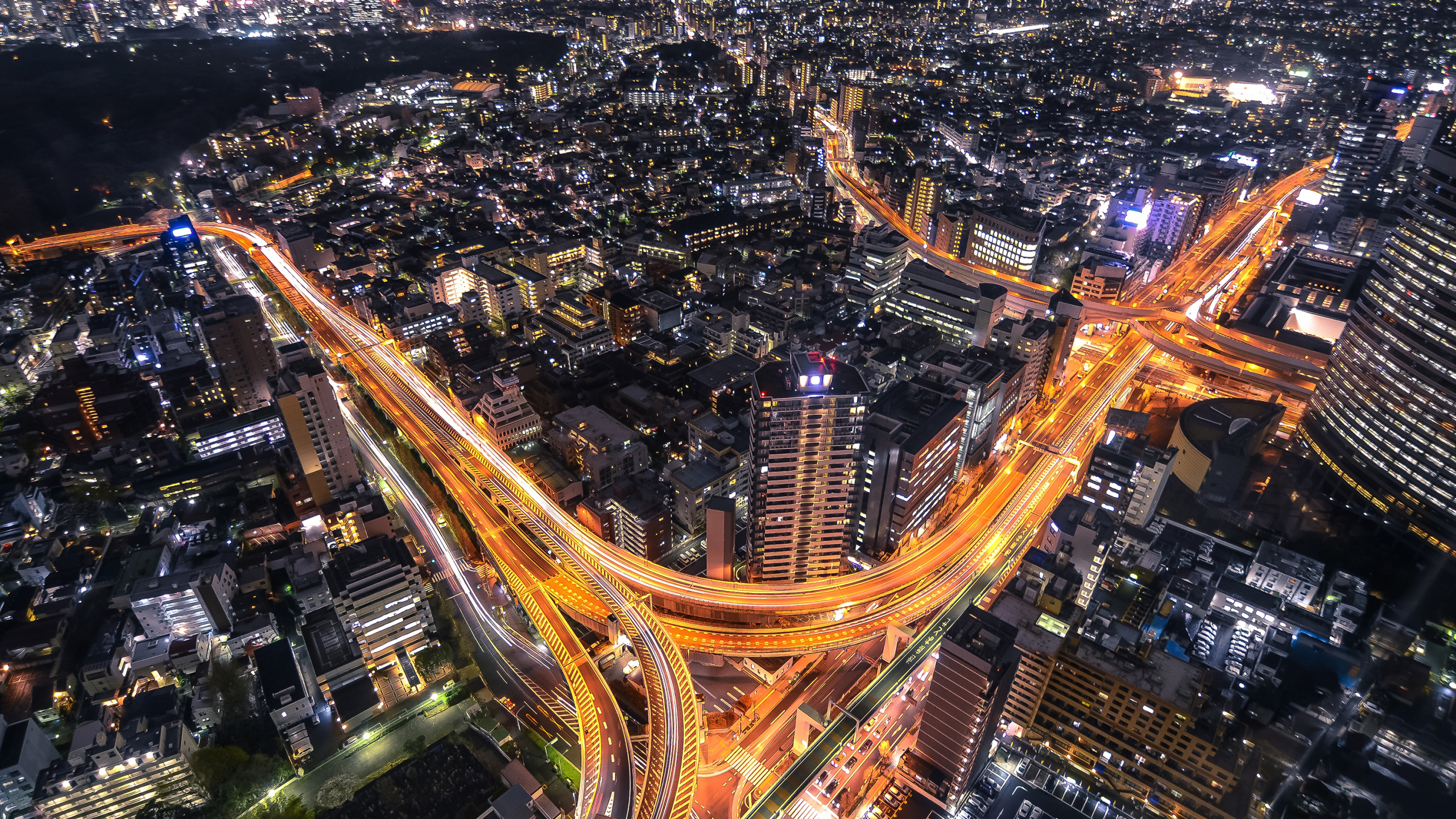 Immeubles de Grande Hauteur Pendant la Nuit. Wallpaper in 2560x1440 Resolution