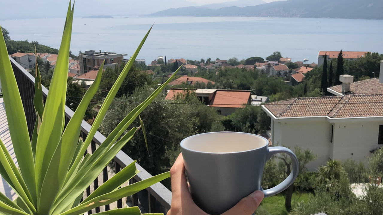 Vacaciones, Palmera, Planta, Ciencia, Biología. Wallpaper in 1280x720 Resolution