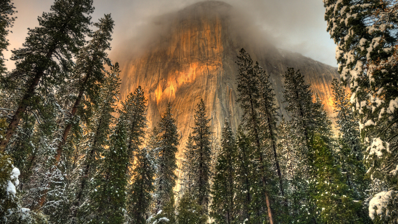 Pins Verts Près de la Montagne Brune Sous un Ciel Gris. Wallpaper in 1366x768 Resolution