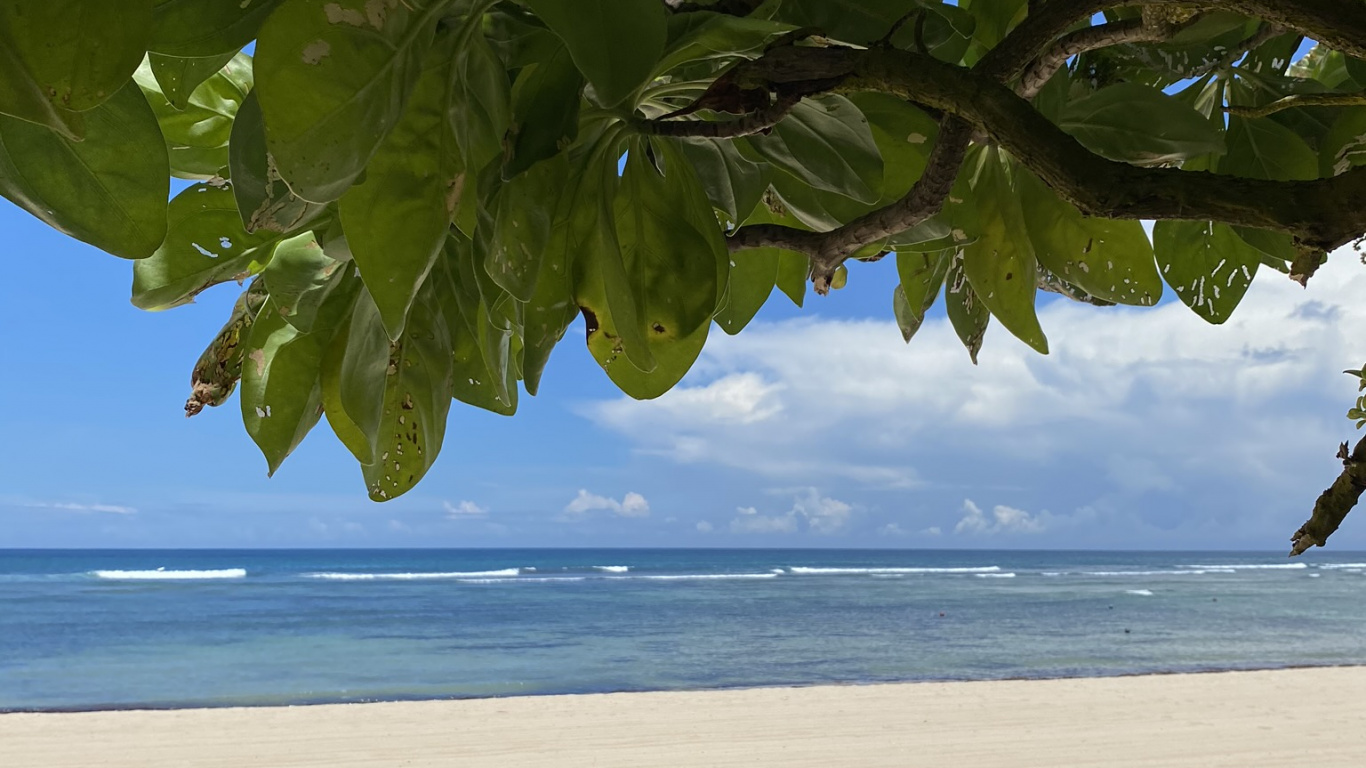 Agua, Biología, Ciencia, Planta, Cuerpo de Agua. Wallpaper in 1366x768 Resolution
