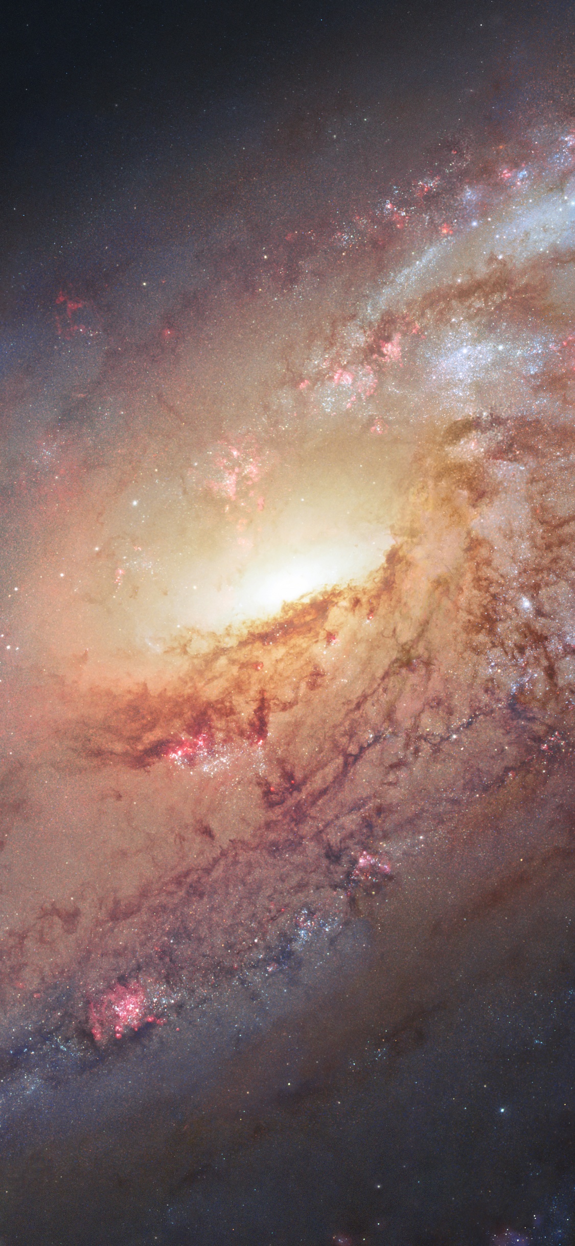 Galaxie 106 Plus Désordonnée, Messier 106, Galaxie, Galaxie Spirale, Objet de Messier. Wallpaper in 1125x2436 Resolution