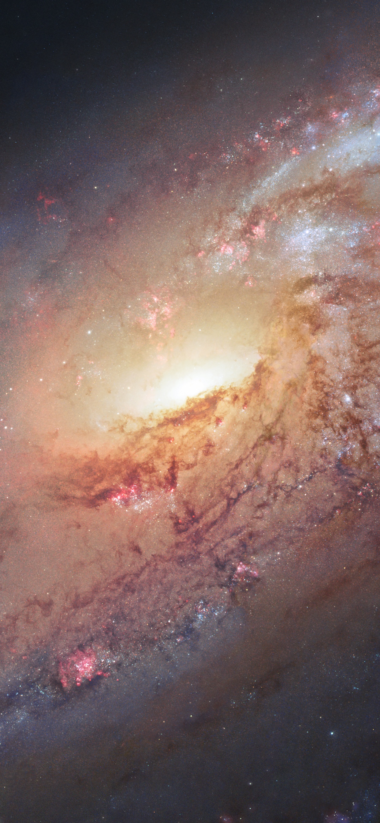 Galaxie 106 Plus Désordonnée, Messier 106, Galaxie, Galaxie Spirale, Objet de Messier. Wallpaper in 1242x2688 Resolution