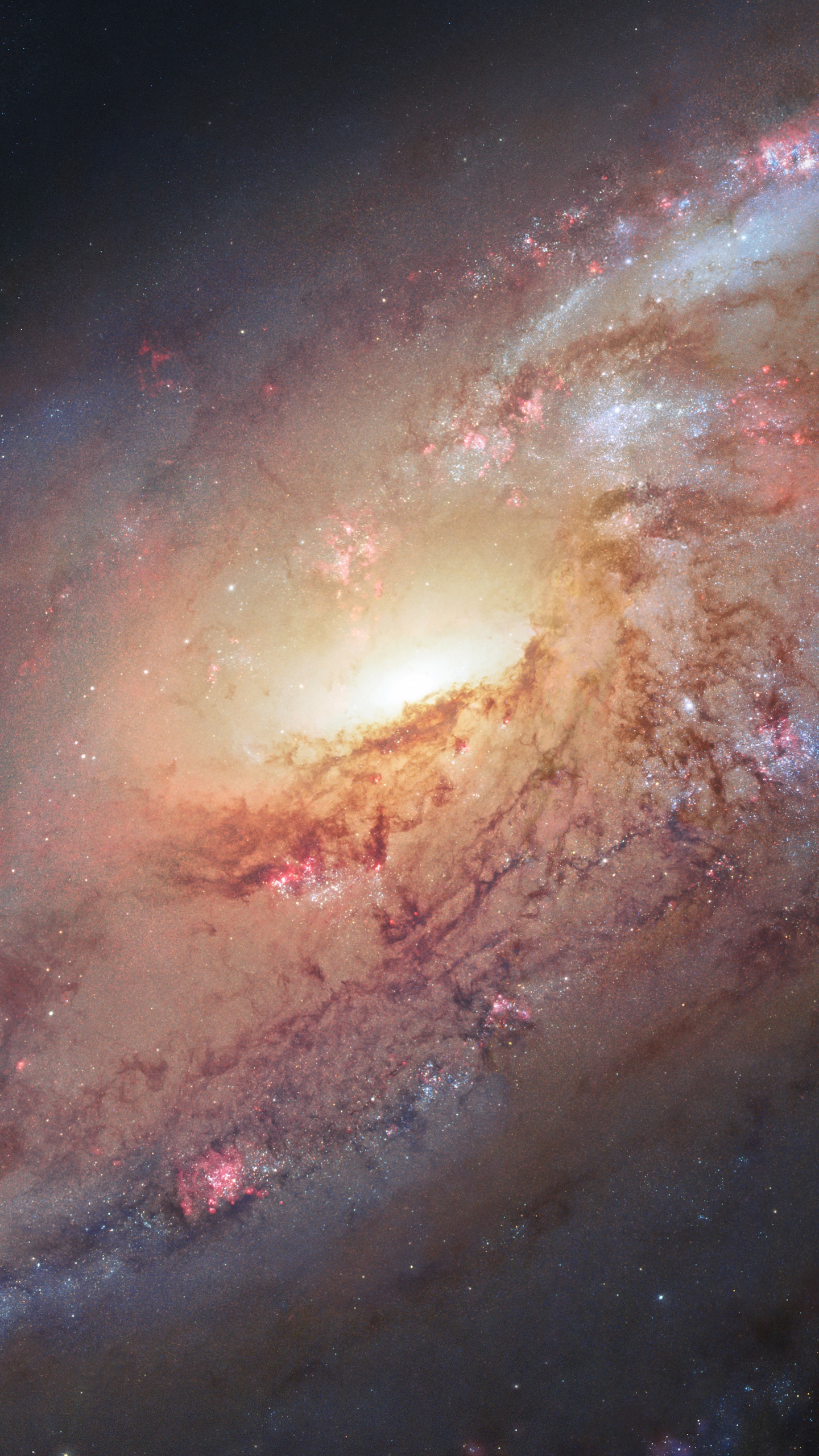 Galaxie 106 Plus Désordonnée, Messier 106, Galaxie, Galaxie Spirale, Objet de Messier. Wallpaper in 1440x2560 Resolution