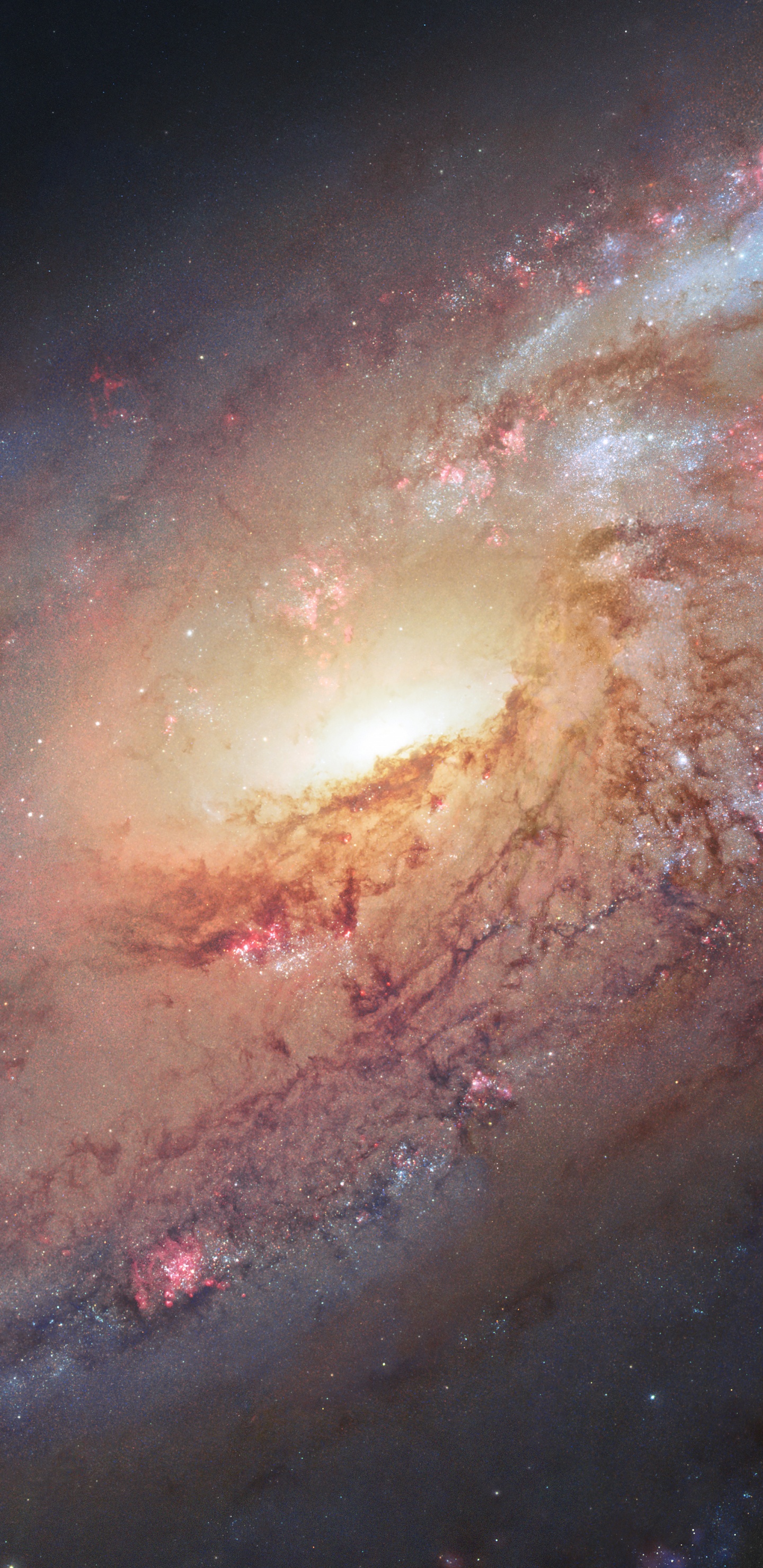 Galaxie 106 Plus Désordonnée, Messier 106, Galaxie, Galaxie Spirale, Objet de Messier. Wallpaper in 1440x2960 Resolution