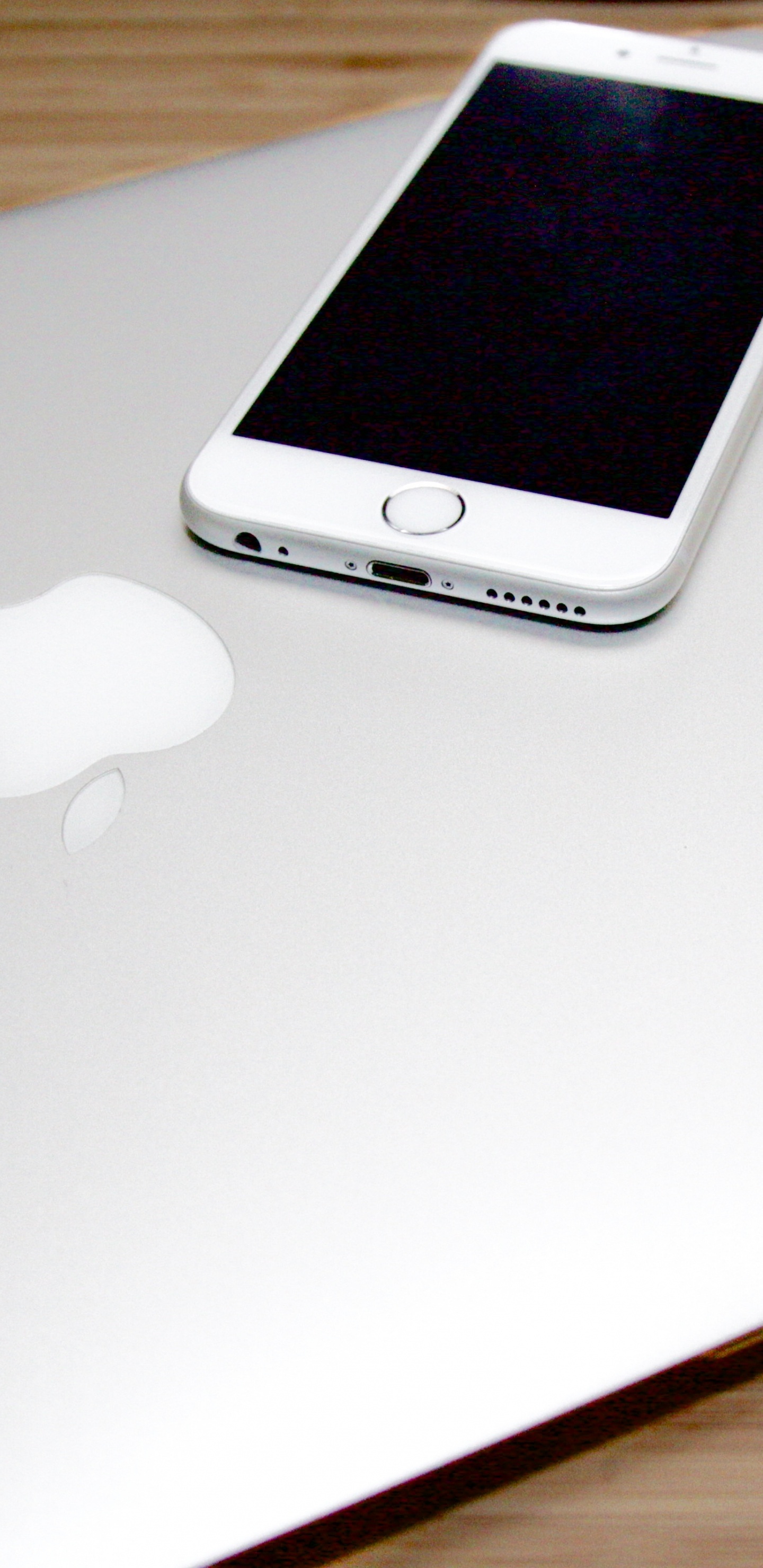 苹果它, Apple, 智能手机, 小工具, 白色 壁纸 1440x2960 允许