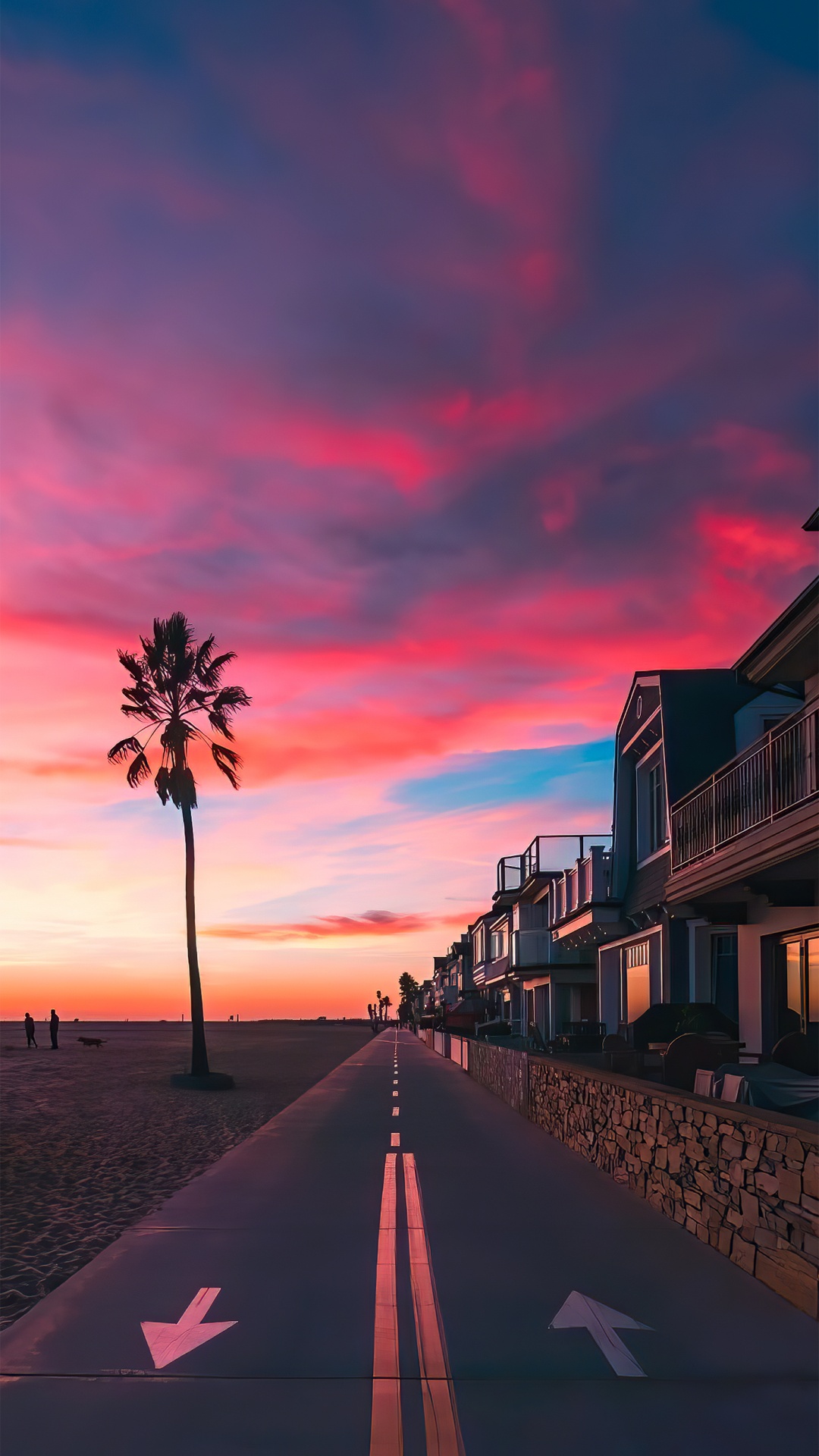 Palm Tree, Cloud, Atmosphere, Tree, Afterglow. Wallpaper in 1080x1920 Resolution