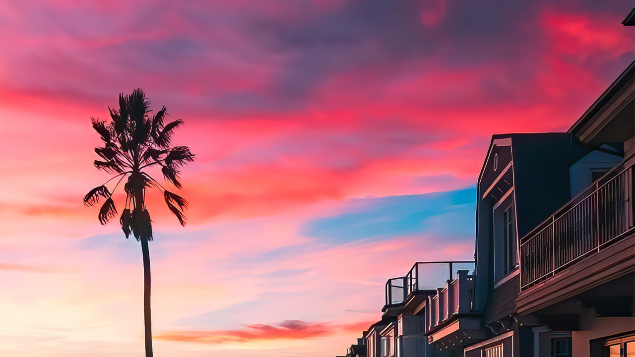 Palm Tree, Cloud, Atmosphere, Tree, Afterglow. Wallpaper in 1280x720 Resolution
