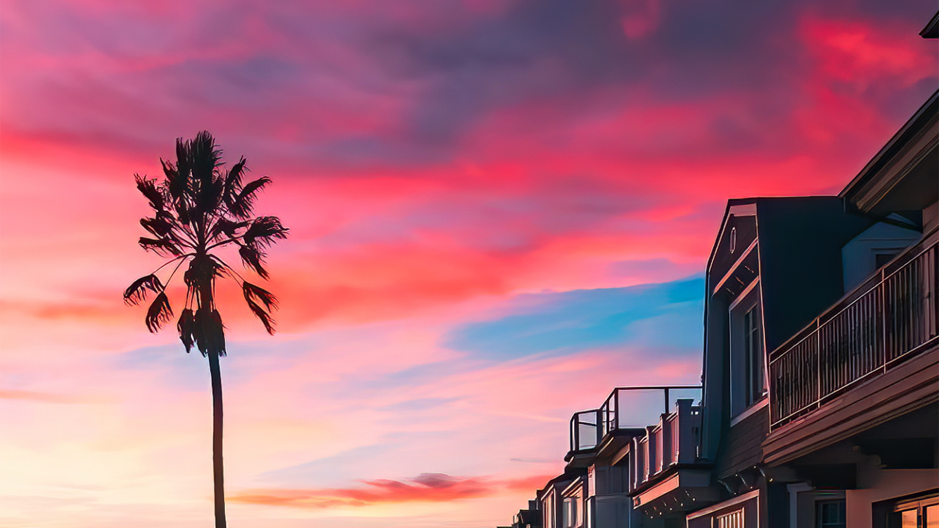 Palm Tree, Cloud, Atmosphere, Tree, Afterglow. Wallpaper in 1366x768 Resolution