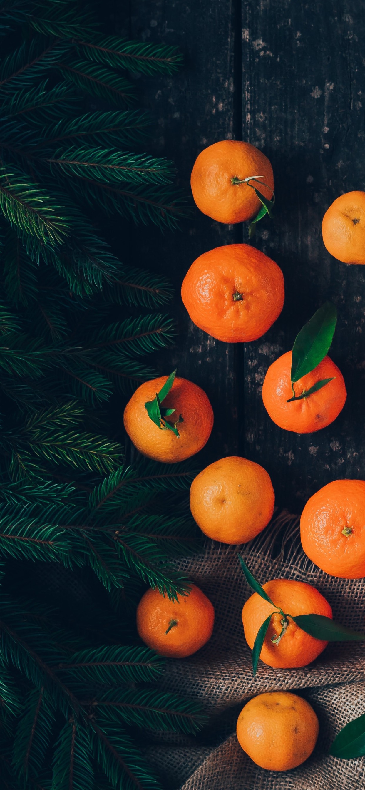 Teléfono, Android, Alimento, Clementine, Rangpur. Wallpaper in 1242x2688 Resolution