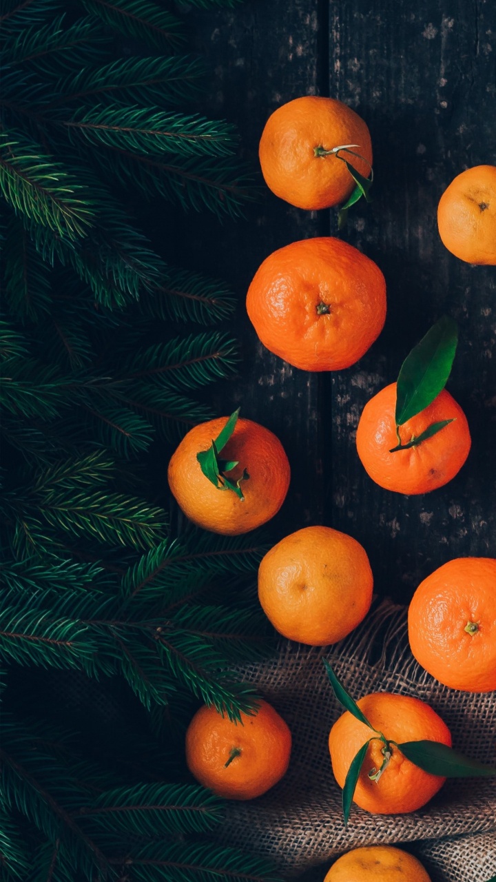 Telephone, Android, Food, Plant, Clementine. Wallpaper in 720x1280 Resolution