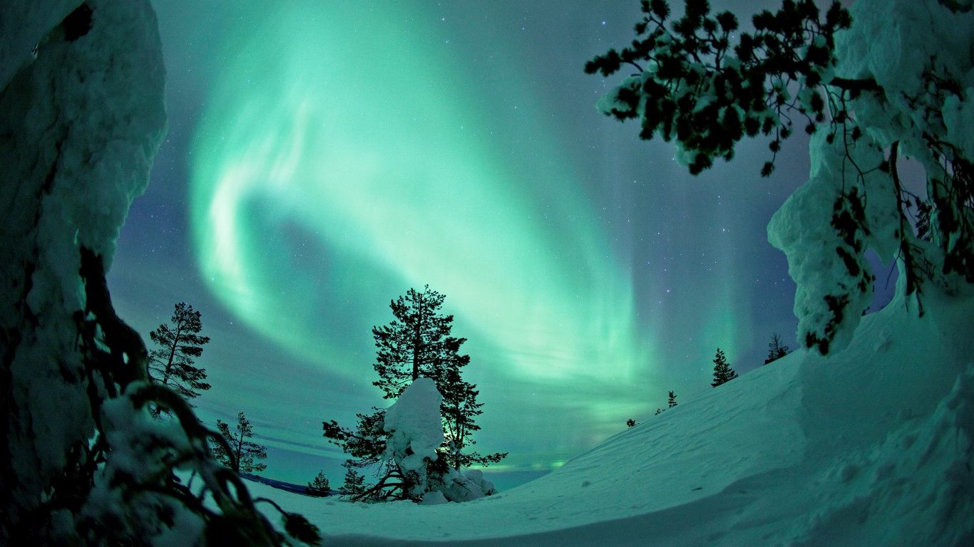 Grüne Bäume Auf Schneebedecktem Boden Unter Blauem Himmel. Wallpaper in 1366x768 Resolution