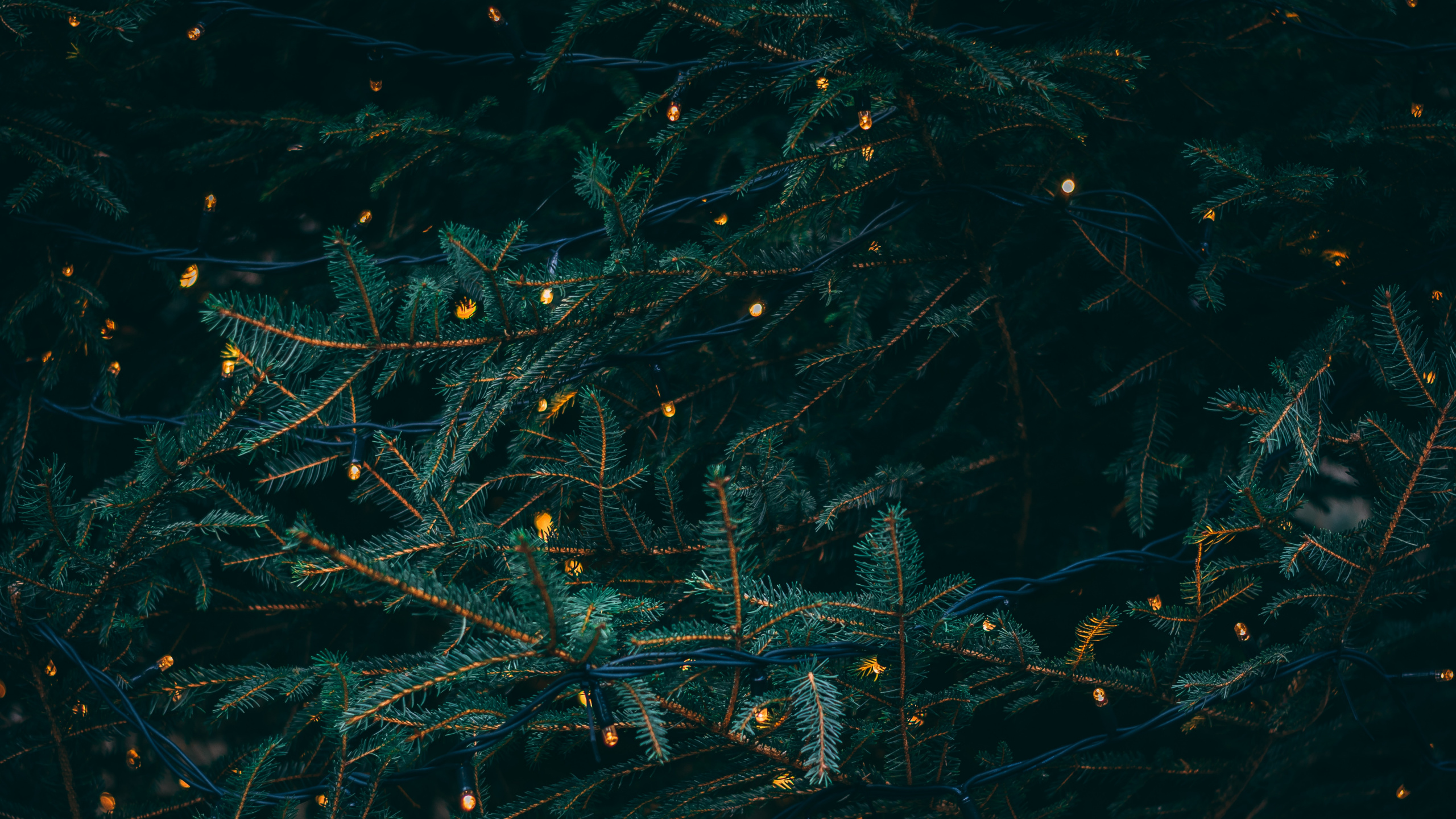 El Día De Navidad, Luces de Navidad, Agua, Turquesa, Patrón. Wallpaper in 2560x1440 Resolution