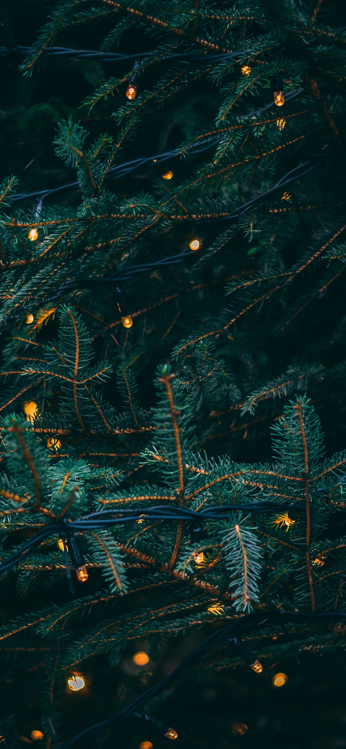 Le Jour De Noël, Les Lumières de Noël, Eau, Turquoise, Espace. Wallpaper in 1125x2436 Resolution