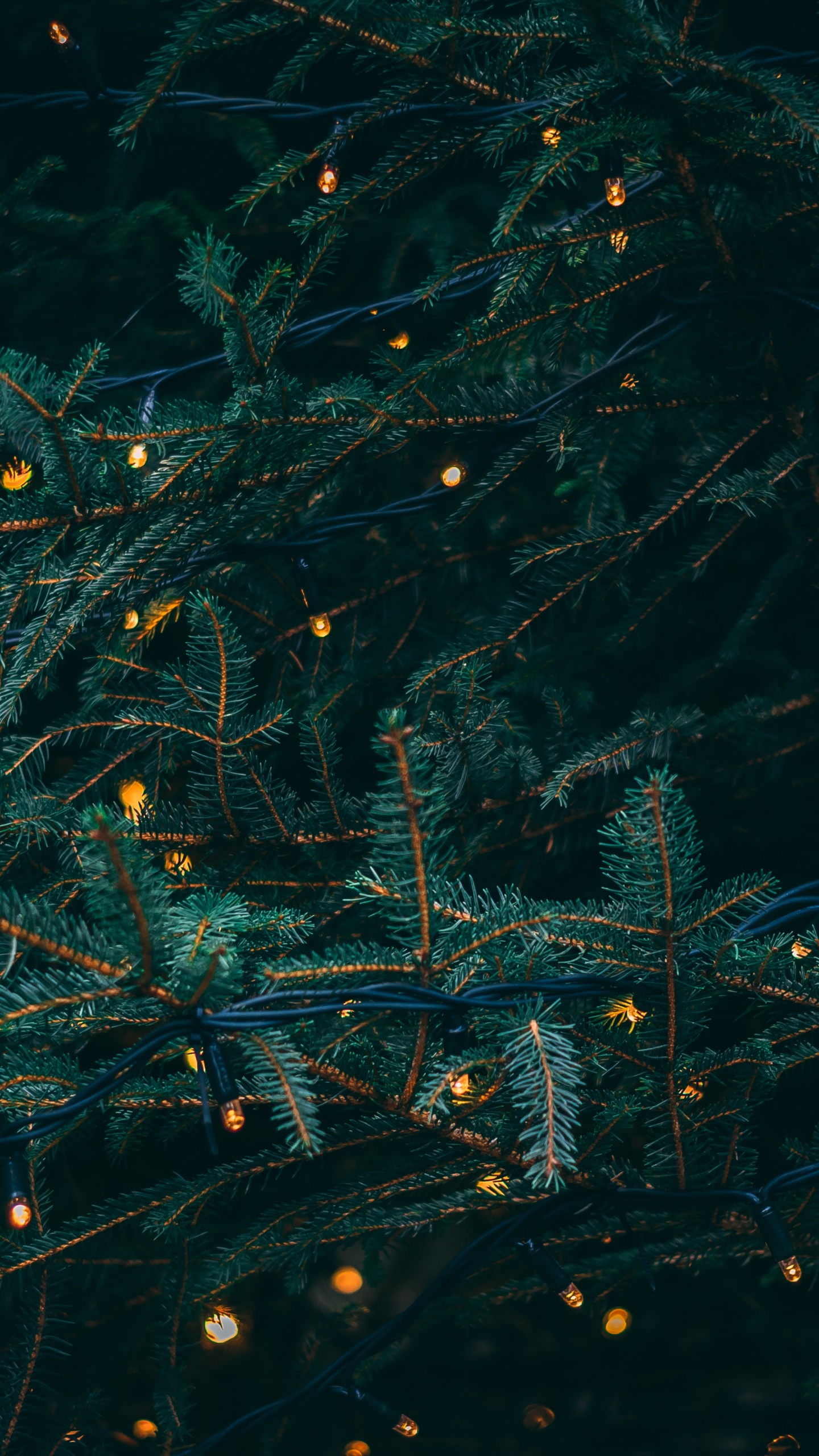 Christmas Day, Christmas Lights, Water, Turquoise, Pattern. Wallpaper in 1440x2560 Resolution