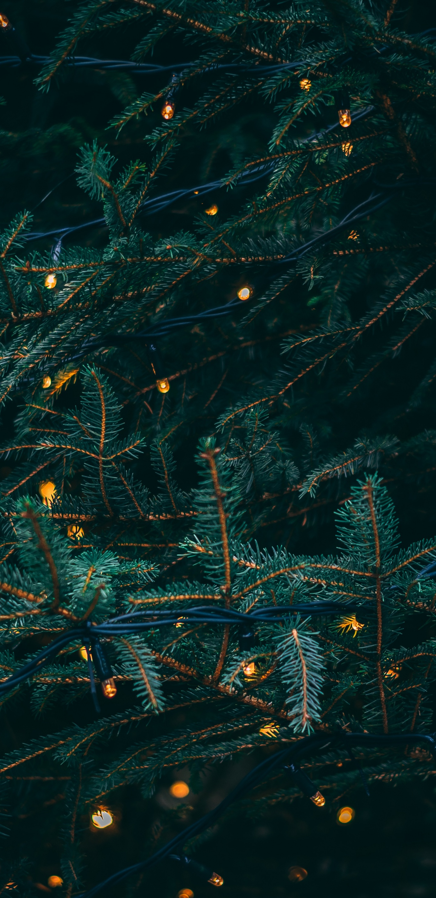 Christmas Day, Christmas Lights, Water, Turquoise, Pattern. Wallpaper in 1440x2960 Resolution