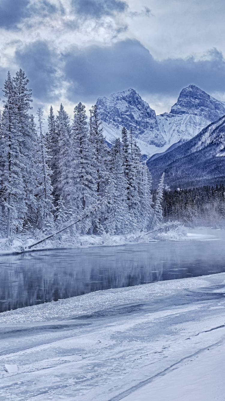 Snow Covered Trees and Mountains During Daytime. Wallpaper in 750x1334 Resolution