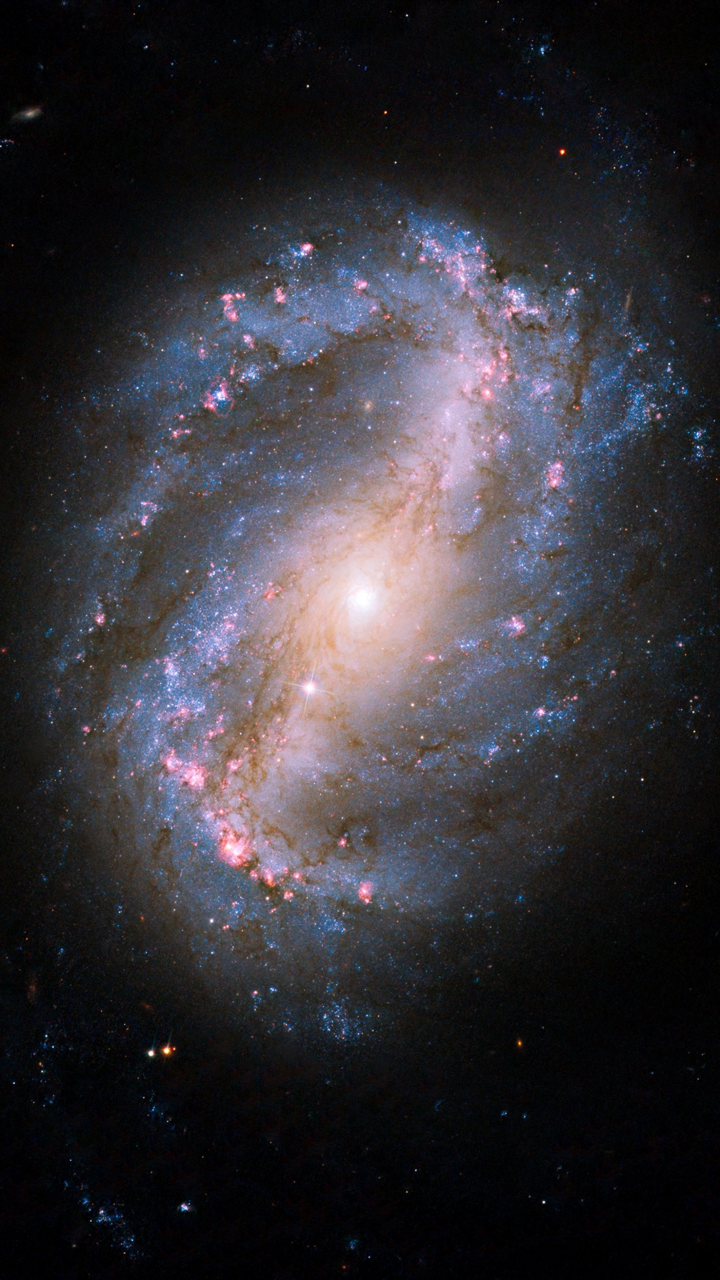 Barred Spiral Galaxy Ngc 6217, Star, Galaxy, Spiral Galaxy, Ngc 6217. Wallpaper in 1440x2560 Resolution