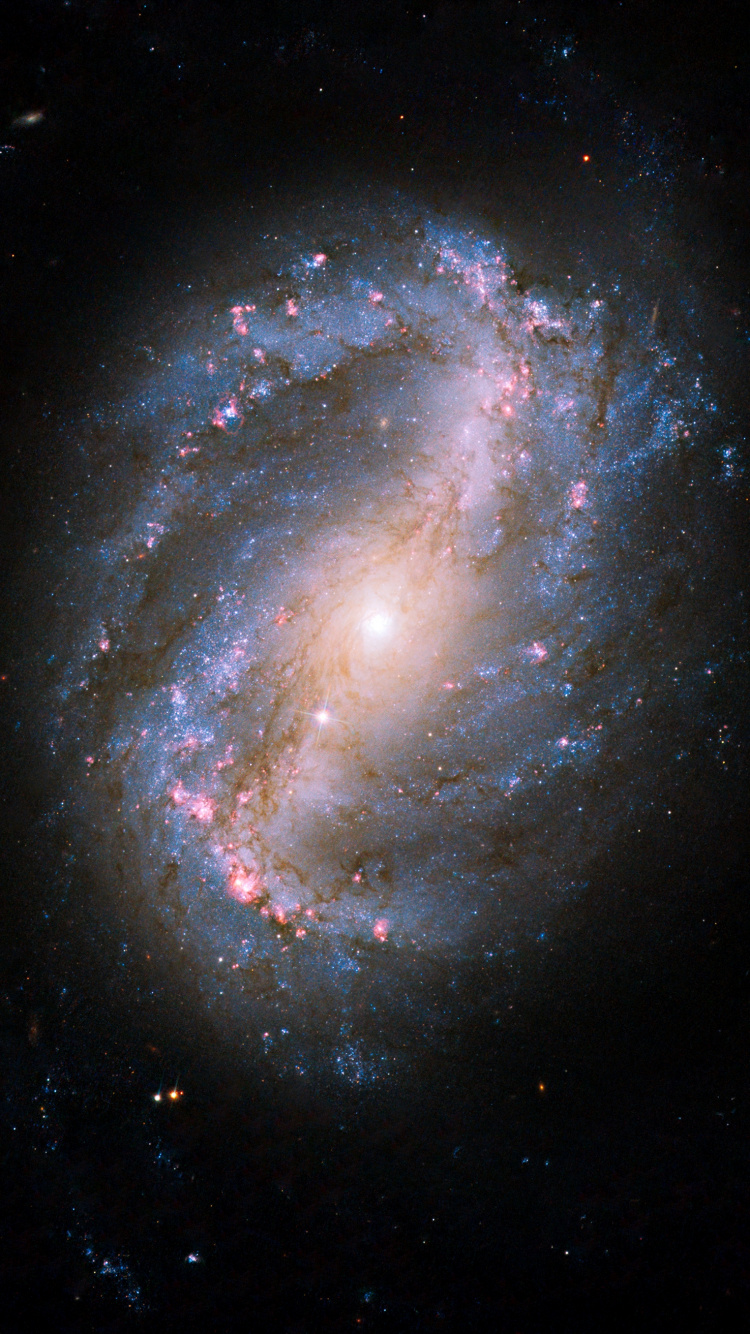 Galaxia Espiral Barrada Ngc 6217, Estrella, Galaxia, Galaxia Espiral, Ngc 6217. Wallpaper in 750x1334 Resolution