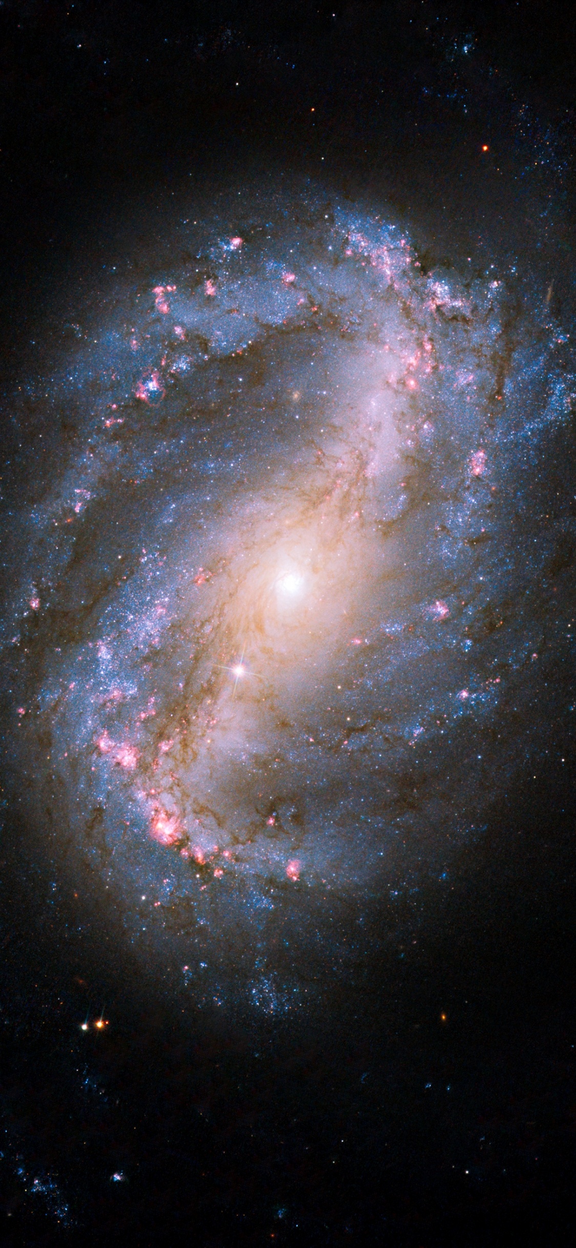 Galaxie Spirale Barrée Ngc 6217, Galaxie, Galaxie Spirale, Ngc6217, Galaxie Spirale Barrée. Wallpaper in 1125x2436 Resolution