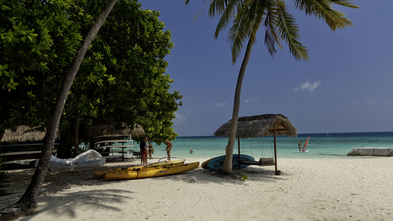 Leute, Die Tagsüber Auf Einem Gelben Kajak am Strand Fahren. Wallpaper in 1280x720 Resolution