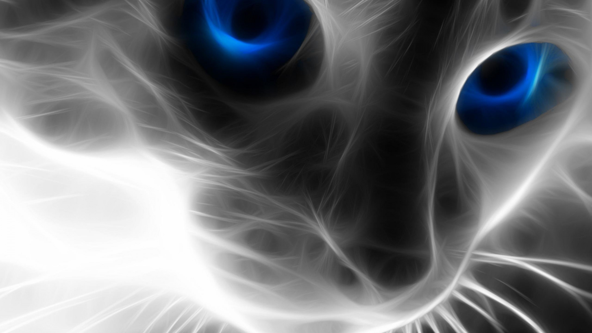 Abstrakte Schwarz-Weiß-Malerei. Wallpaper in 1920x1080 Resolution