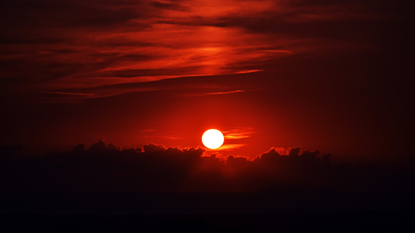 Silhouette D'arbres au Coucher du Soleil. Wallpaper in 1366x768 Resolution