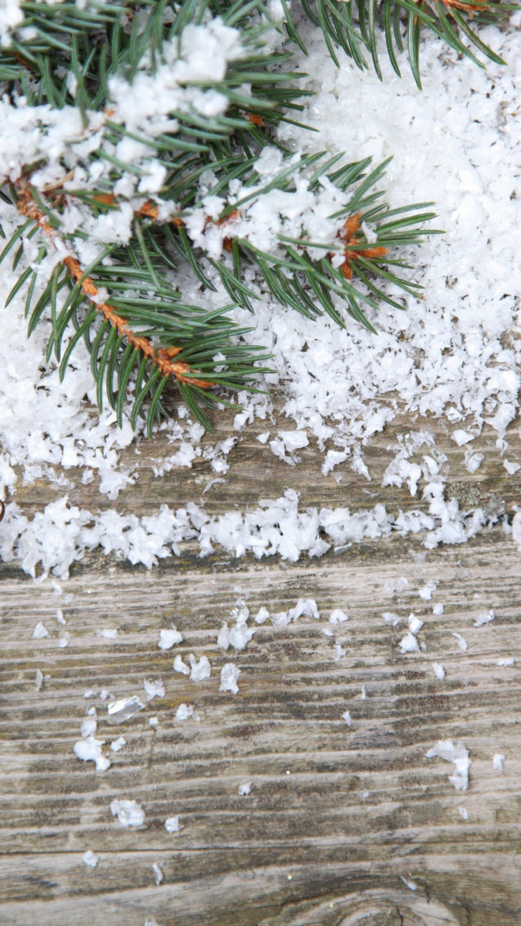 Christmas Ornament, Baum, Branch, Fir, Weihnachtsdekoration. Wallpaper in 750x1334 Resolution