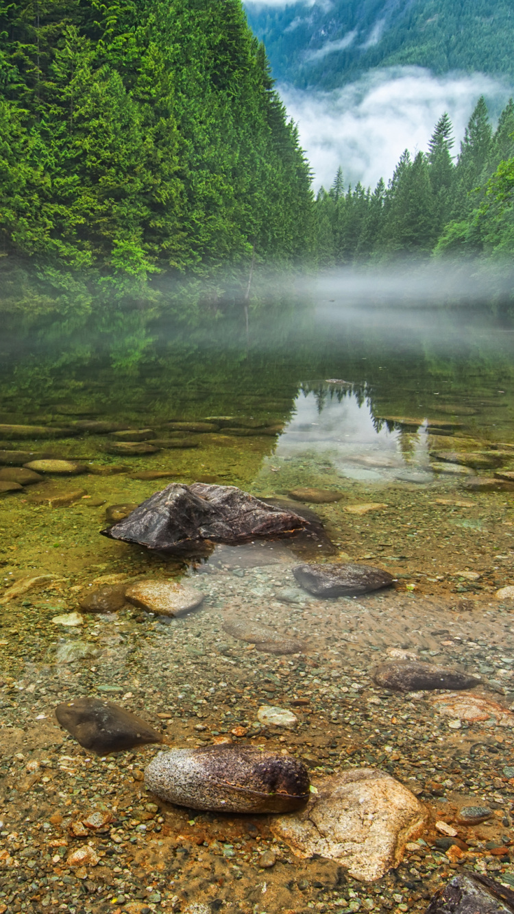 温哥华, 性质, 水道, 水资源, 荒野 壁纸 750x1334 允许
