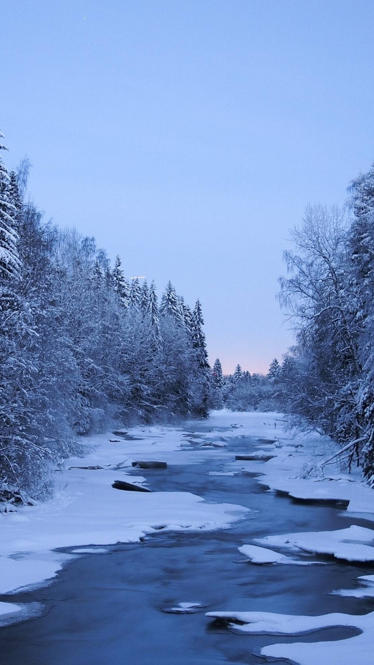 Snow Covered Trees and River During Daytime. Wallpaper in 750x1334 Resolution