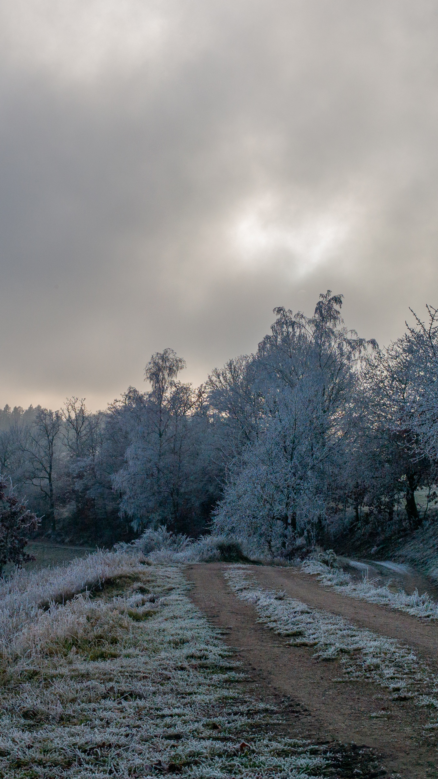 Congélation, Neige, Route, Hiver, Paysage Naturel. Wallpaper in 1440x2560 Resolution