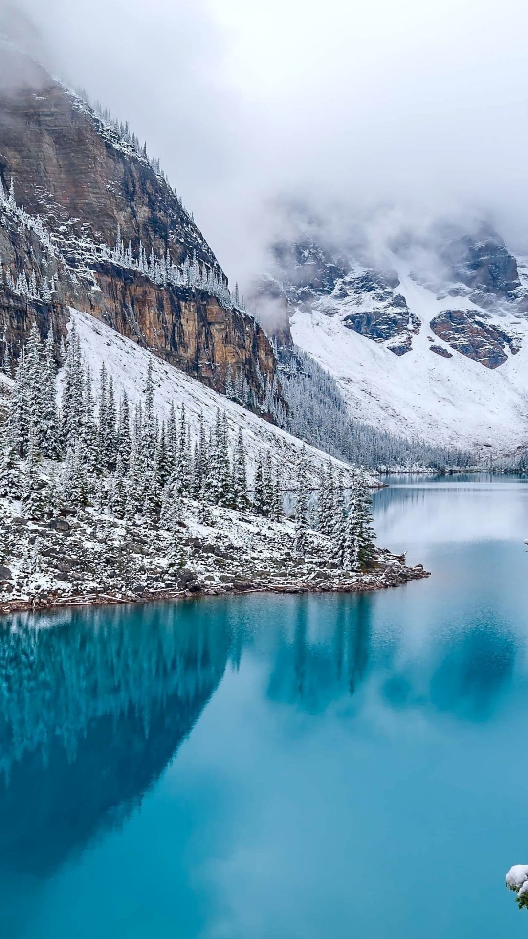 Lac Entre Arbres et Montagne. Wallpaper in 1080x1920 Resolution