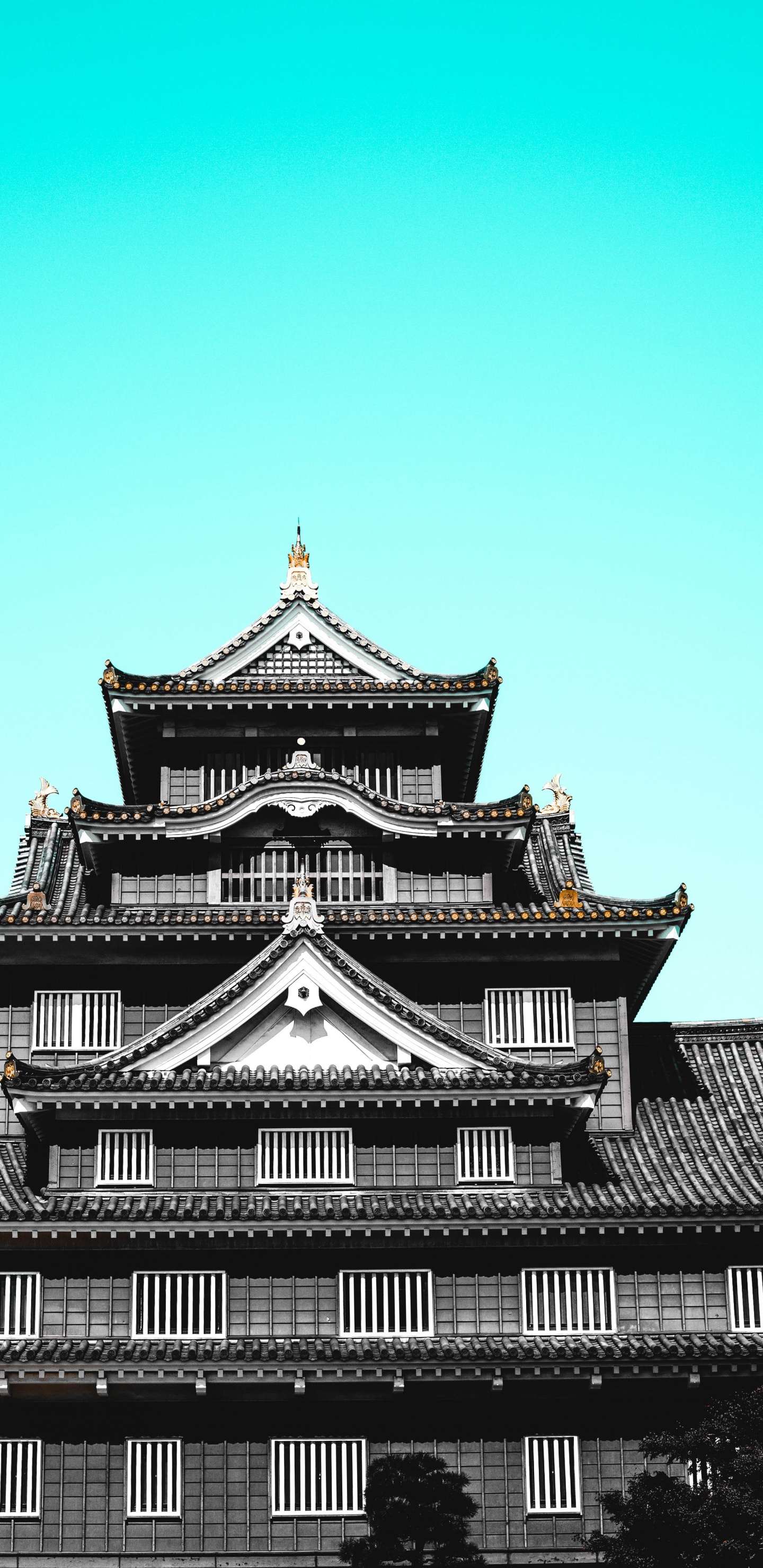Templo Blanco y Negro Bajo un Cielo Azul Durante el Día. Wallpaper in 1440x2960 Resolution