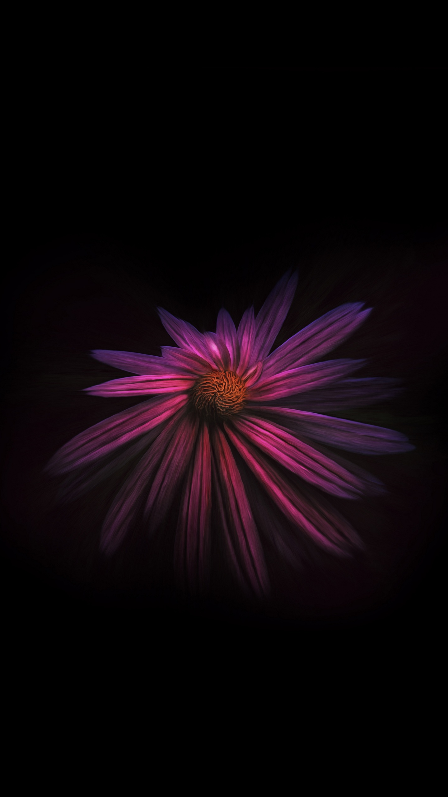 Purple and White Flower in Dark Room. Wallpaper in 1440x2560 Resolution