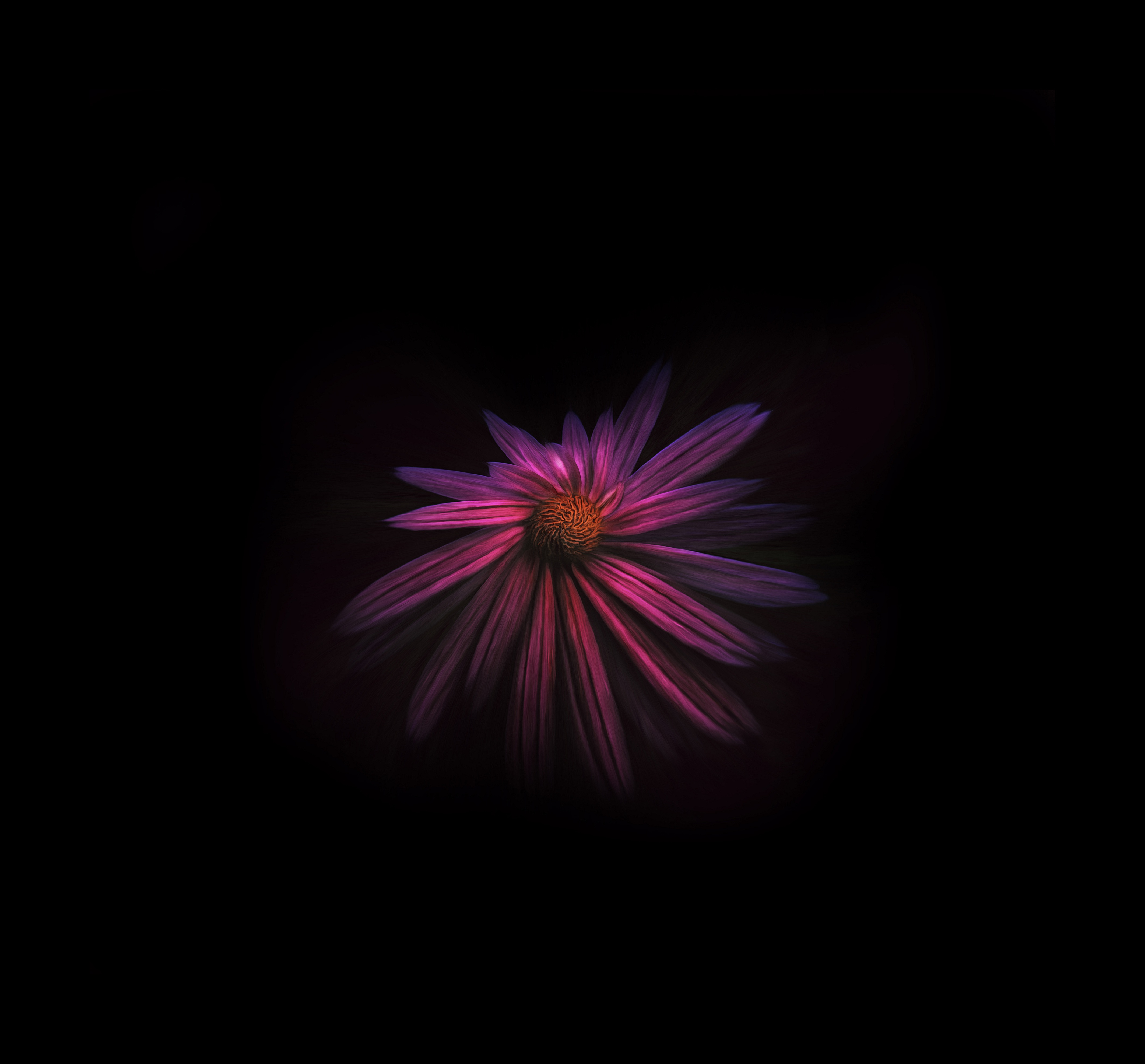 animated flower wallpaper 4k