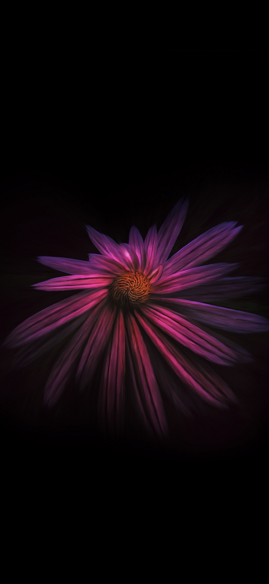 Fleur Violette et Blanche Dans Une Pièce Sombre. Wallpaper in 1125x2436 Resolution