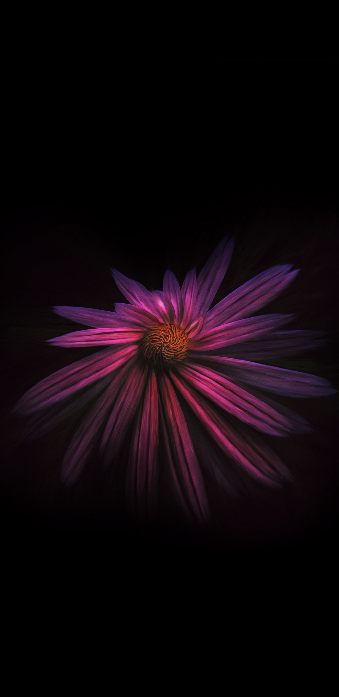 Fleur Violette et Blanche Dans Une Pièce Sombre. Wallpaper in 1440x2960 Resolution