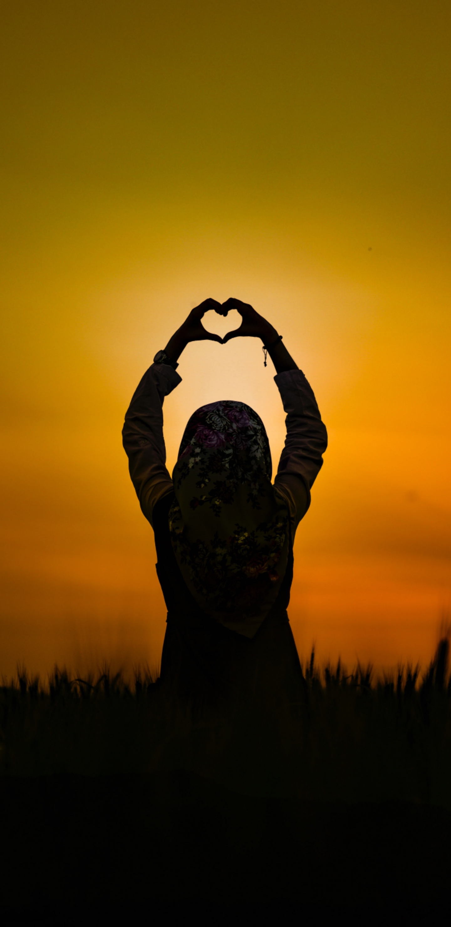 Silhouette, Sunset, People in Nature, Orange, Grass. Wallpaper in 1440x2960 Resolution